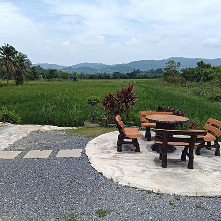Damai D Homestay Kangar Exteriér fotografie